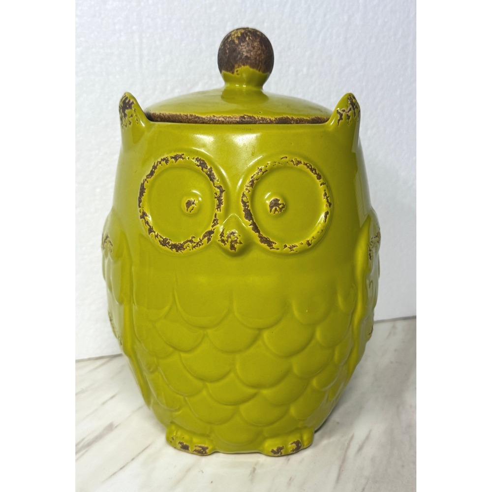 Vintage Style Lime Green Ceramic Owl Canister with Lid Rustic Distressed Decor